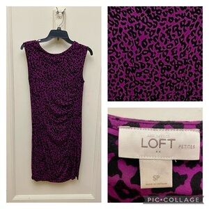 LOFT Petites Purple Leopard Print Ruched Sheath Dress Petite Small